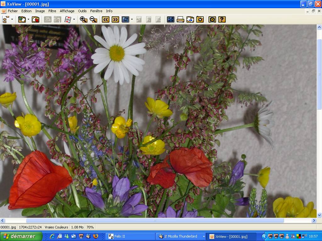 Image hberge par Casimages.com : votre hbergeur d images simple et gratuit